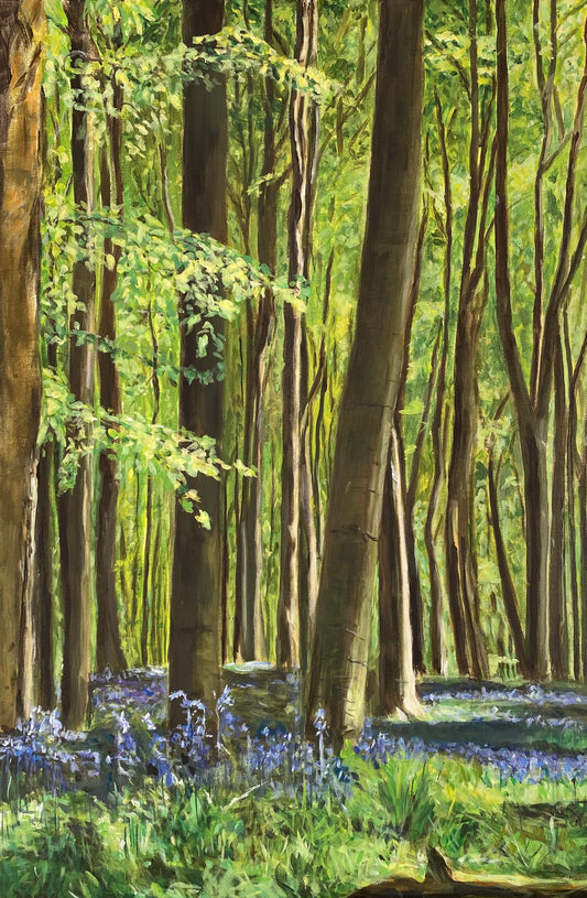 Forest of Bluebells