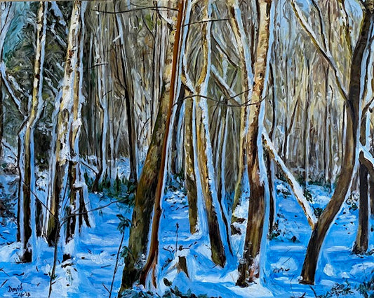 Winter Walk in Woods